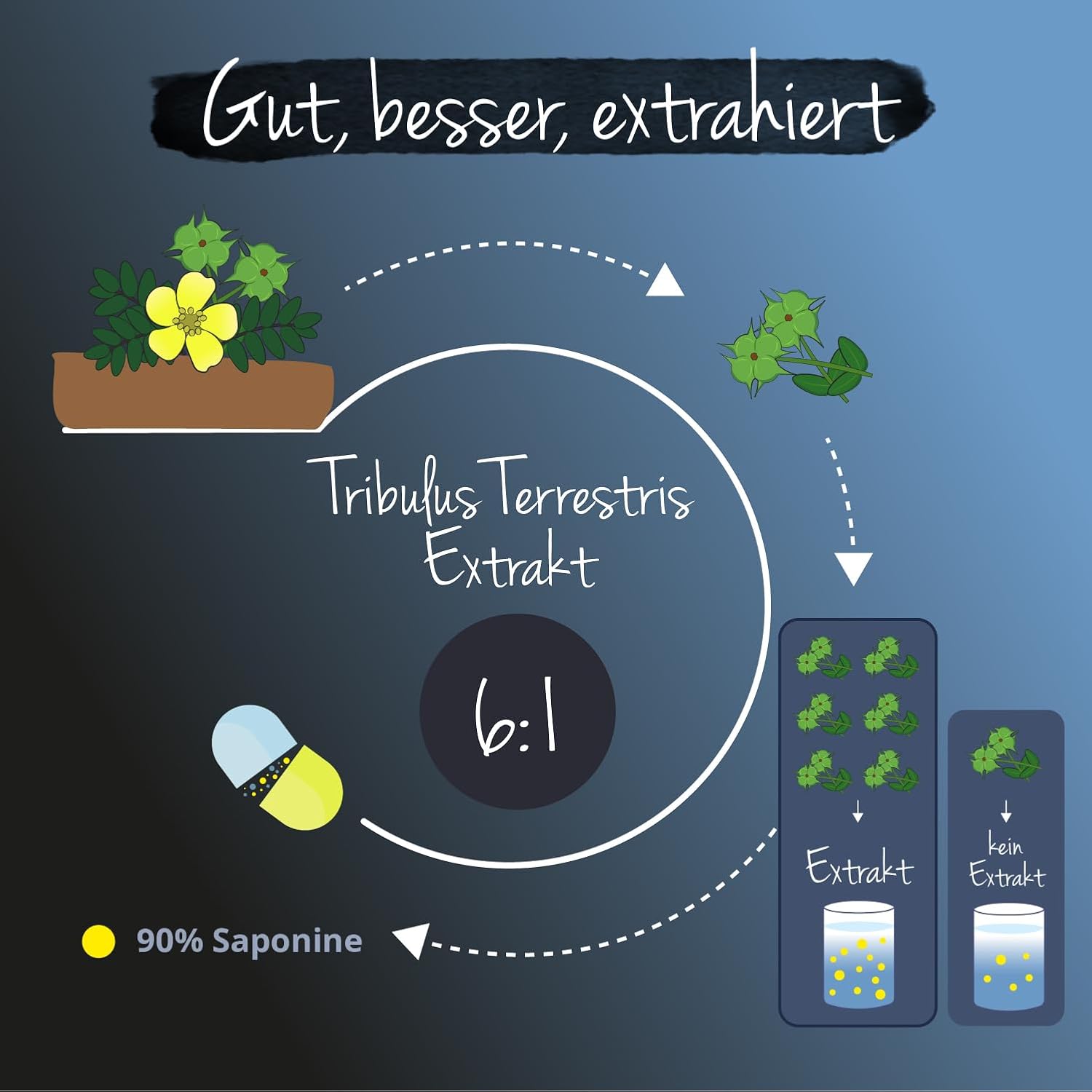 Ausdauer & Energie – Tribulus Terrestris 600 mg | 120 Capsules | Highly Dosed Fruit Extract with 91% Saponins Muscle – Testosterone – Energy – Pleasure | No Chemical Additives | Vegan gelatine from Nature – Vegavero with Free Passion – For You. – Bild 5