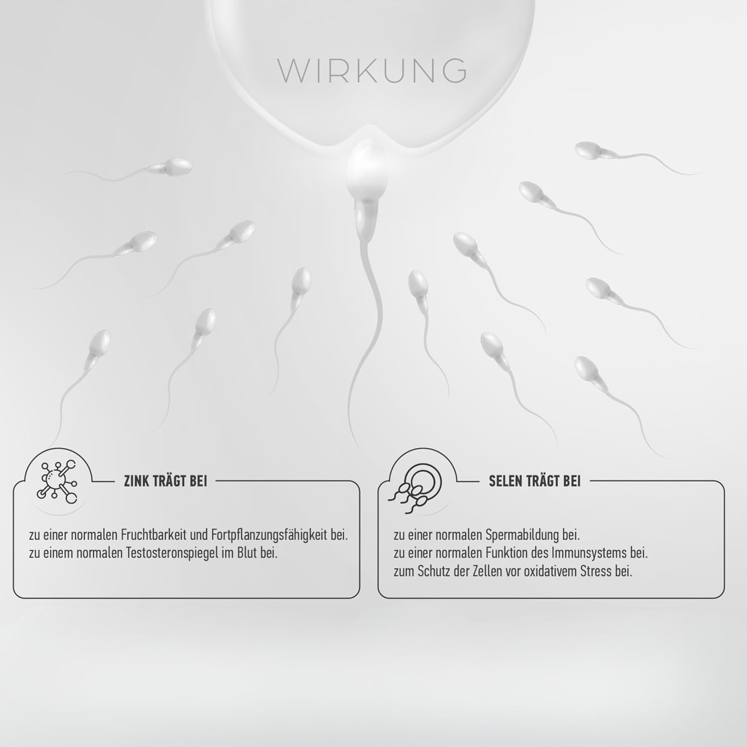 Ausdauer & Energie – Maca Capsules High Dose I Men's Testosterone¹ I Active Men I Maca with Tribulus Terrestris, Cordyceps, Fenugreek, Zinc, Ginseng, Saffron, Selenium - 90 Kps. – Bild 5