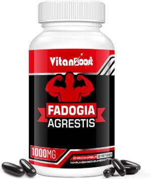 Ausdauer & Energie – Fadogia Agrestis 1000 mg High Dose with Zinc & Ashwagandha for Men, No Additives - 60 Pieces (Pack of 1)