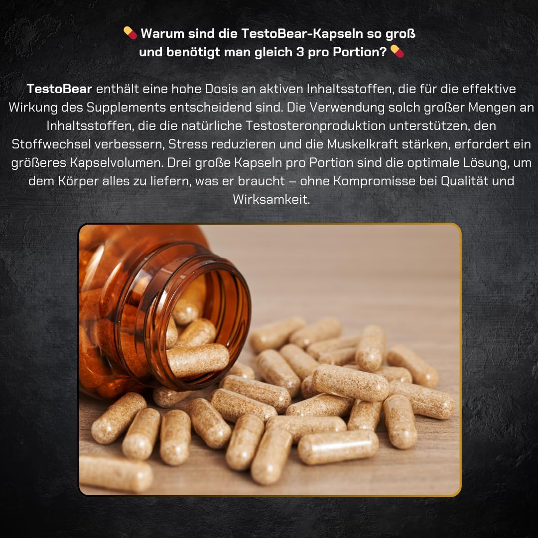 Ausdauer & Energie – Testosterone Booster for Men - TestoBear 90 Vegan Capsules | Increases Testosterone, Libido, Strength, Muscle Mass and Strengthens Erection | Environmentally Friendly - Glass Bottle with Metal – Bild 5