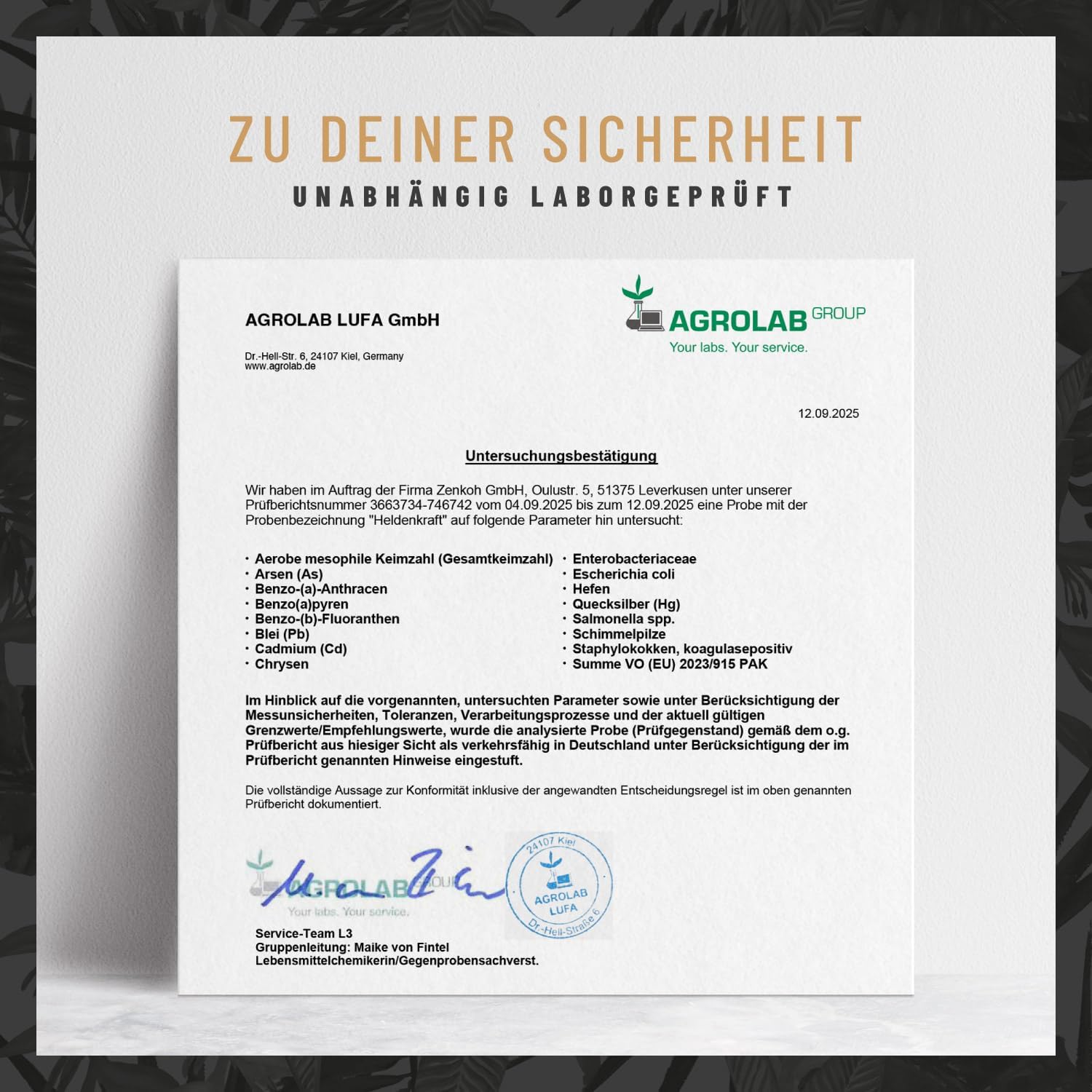 Ausdauer & Energie – Maca Capsules High Dose – Maca 20:1 Extract with Tribulus Terrestris, Cordyceps, Fenugreek, Zinc, Ginseng, Saffron, Selenium – 90 Capsules, Heldenkraft for Men – Bild 4