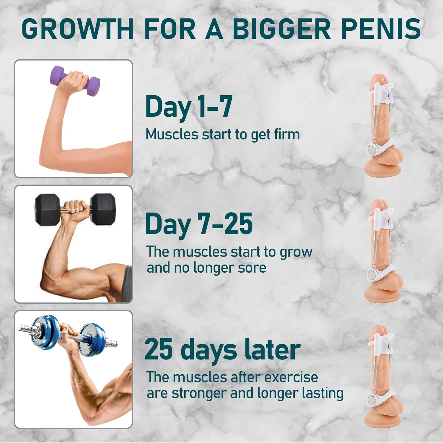 Potenzmittel & Standfestigkeit – Dilators Enlargement System, Fast Enlargement, Potency Agent for Men, Erection Aid – Bild 2