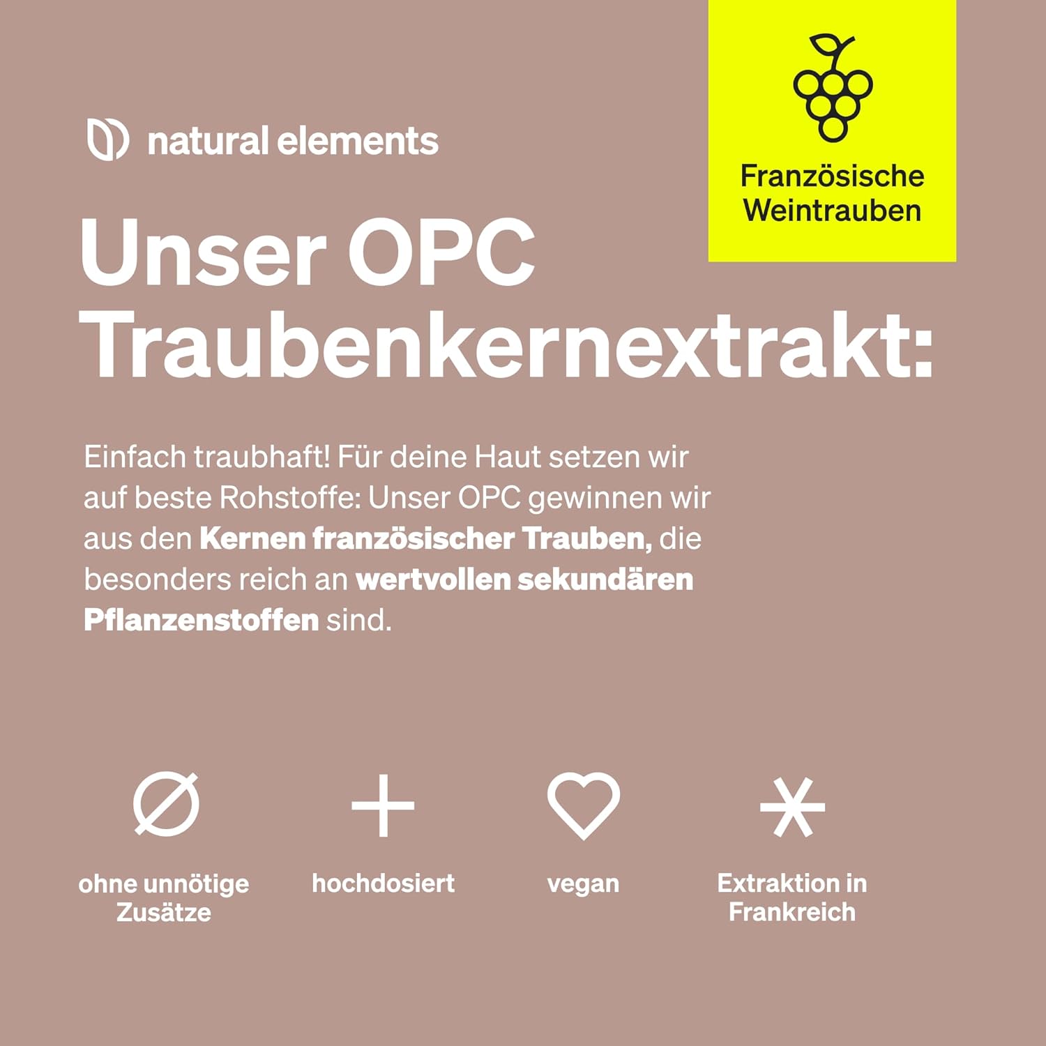 Ausdauer & Energie – OPC grape seed extract, 240 capsules for 8 months, laboratory-tested premium OPC from European grapes, no unwanted additives, high dosage, vegan and made in Germany. – Bild 3