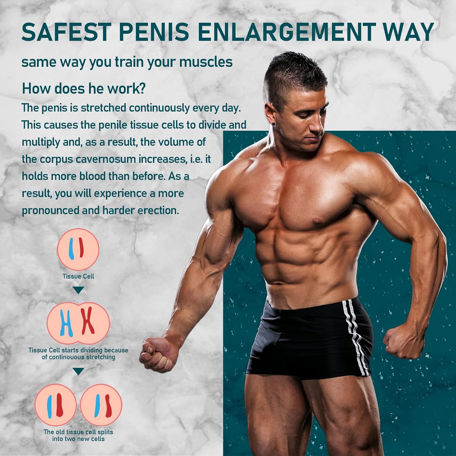 Potenzmittel & Standfestigkeit – Dilators Enlargement System, Fast Enlargement, Potency Agent for Men, Erection Aid – Bild 4