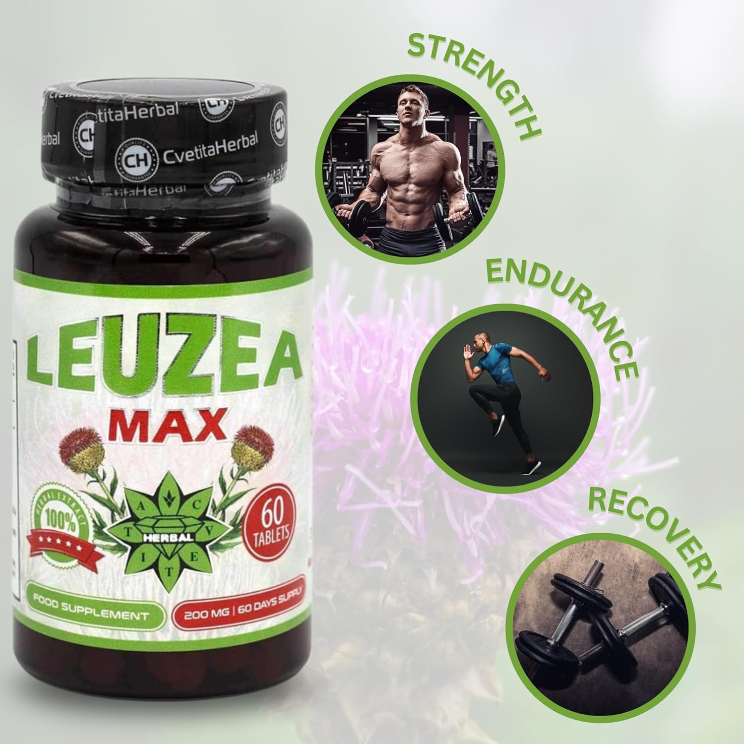 Ausdauer & Energie – Leuzea Max Maral Root 60 Tablets x 200 mg Natural Herbal Extract Adaptogen Muscle Growth Strength Endurance Highly Effective Tablets Cvetita Herbal – Bild 3