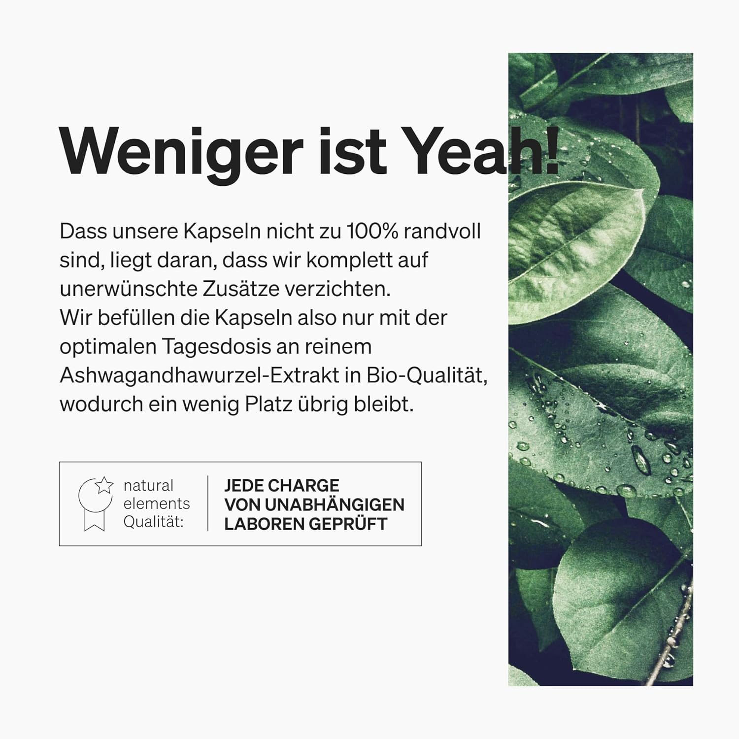 Ausdauer & Energie – natural elements Organic Ashwagandha - KSM-66 Premium Raw Material (180 Capsules with Above Average Range) - 5% Withanolide Content - Laboratory Tested, Vegan and High Dose – Bild 4