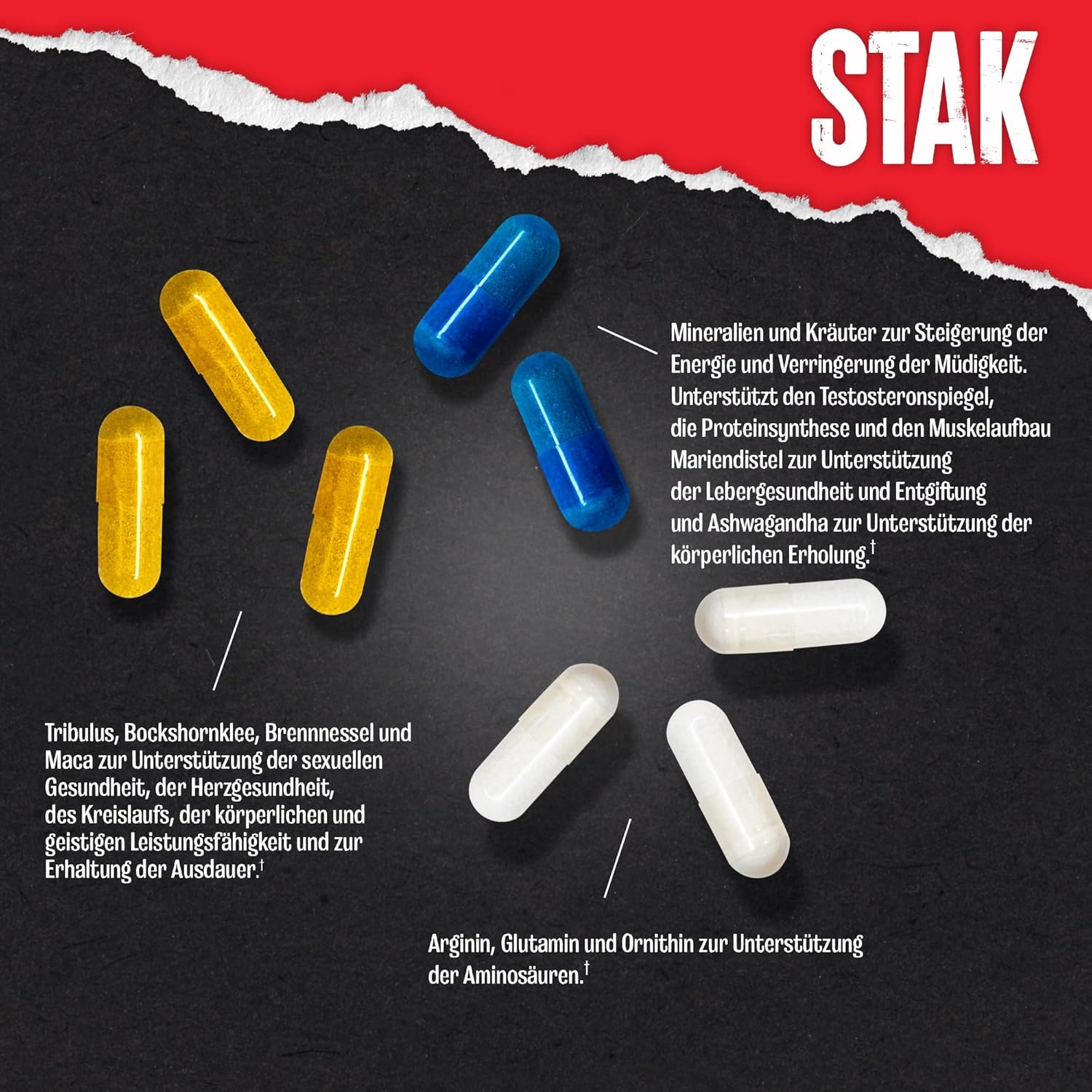 Ausdauer & Energie – Animal Stak Testosterone Optimizers x 21 packs – Bild 4