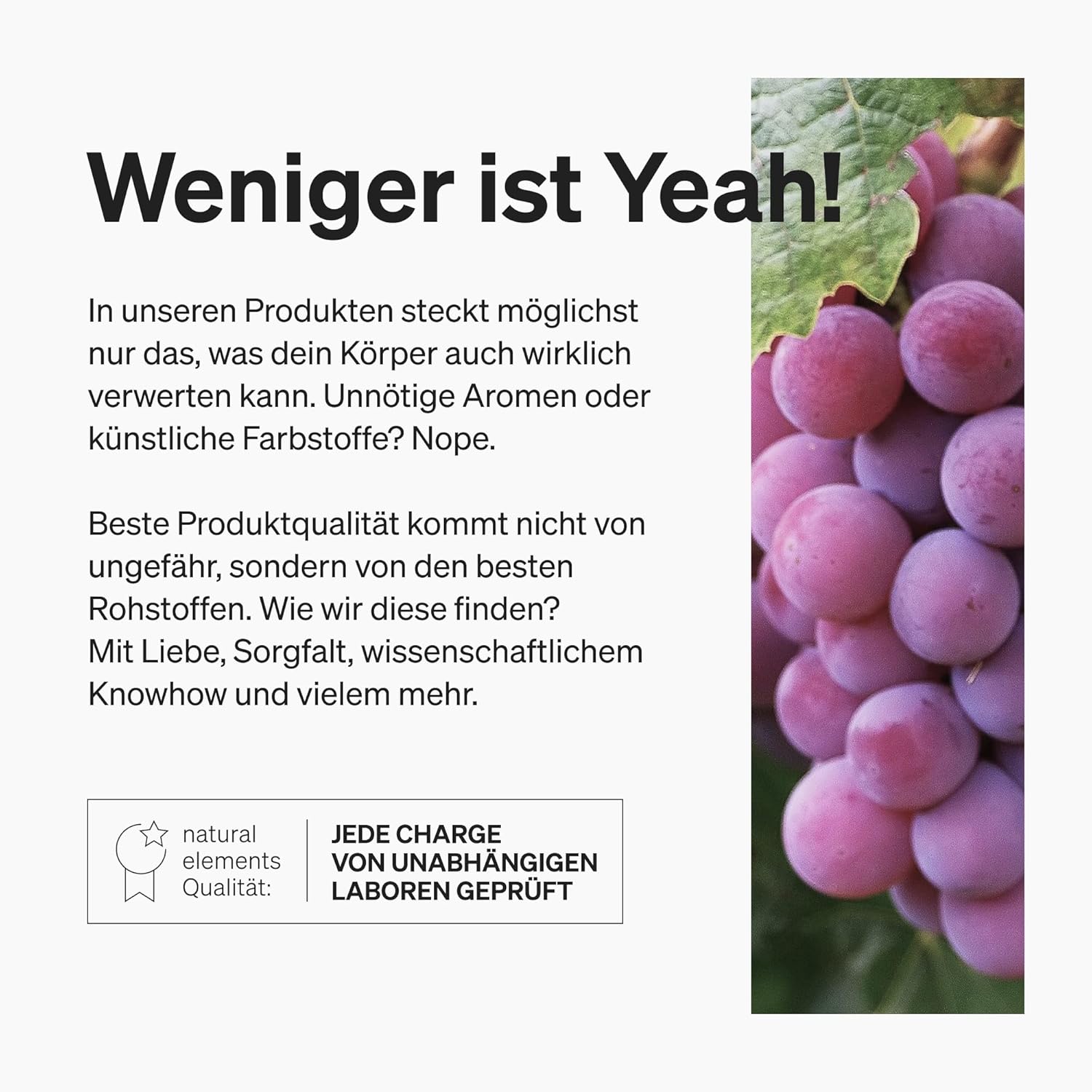 Ausdauer & Energie – OPC grape seed extract, 240 capsules for 8 months, laboratory-tested premium OPC from European grapes, no unwanted additives, high dosage, vegan and made in Germany. – Bild 5