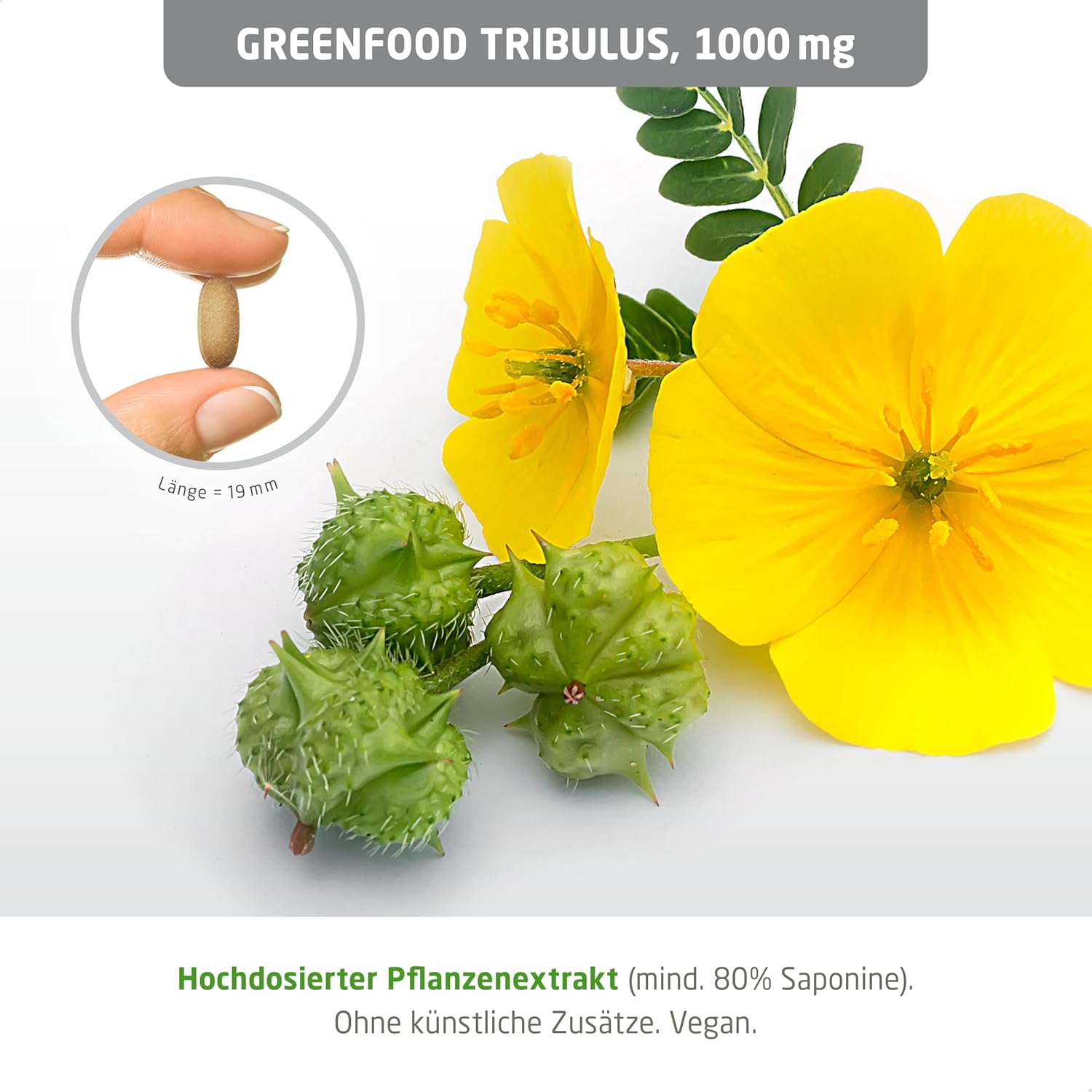 Ausdauer & Energie – Tribulus 1000 mg, Highly Dosed Extract (80% Saponins) Pellets – Natural Testosterone Booster. For more virility, Energy, Strength, Endurance, Burn Fat. No Artificial Additives. GM Free. Vegan., , , – Bild 3