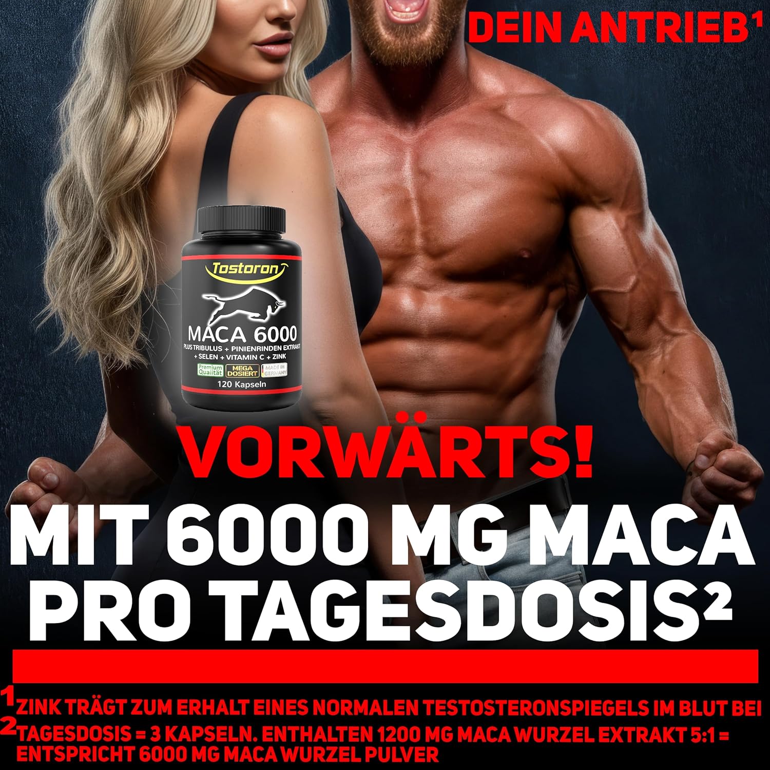 Ausdauer & Energie – Tostoron MACA 6000 high dosage - get the TOSTORON HAMMER direct to your home. 120 Capsules, Plus Tribulus, Pine Bark Extract, Vitamin C, Selenium, Zinc - Laboratory Tested, 1 Tin (1 x 100 g) – Bild 8