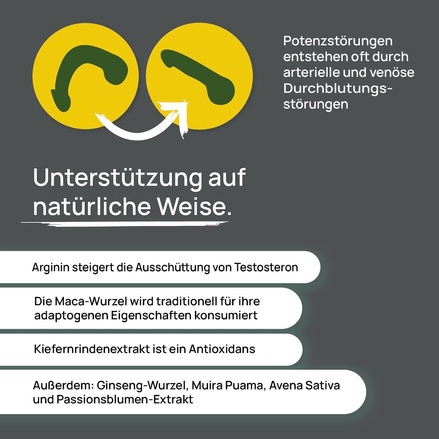 Potenzmittel & Standfestigkeit – Wellpursan Erektio Stark, 270 Capsules, for Active Men, with L-Arginine, Plant Substances, Maca, Zinc, Vegetable High Dose – Bild 2