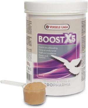 Ausdauer & Energie – Oropharma Boost X5-500g