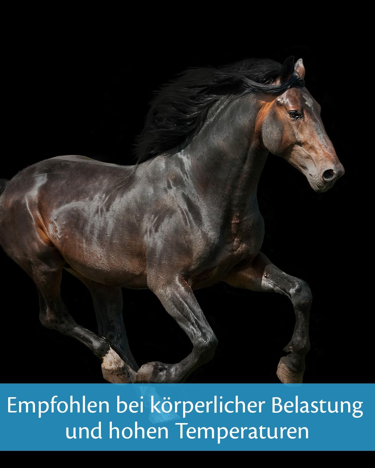 Ausdauer & Energie – EQUISTRO® Energy Booster Supplementary Feed for Horses Highly Concentrated Nutrients for Endurance & Performance Premium Quality 20 g – Bild 5