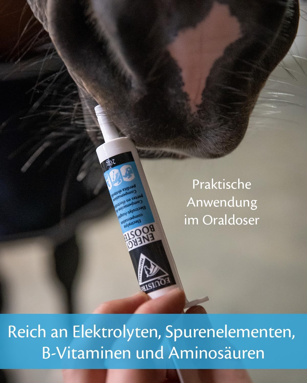 Ausdauer & Energie – EQUISTRO® Energy Booster Supplementary Feed for Horses Highly Concentrated Nutrients for Endurance & Performance Premium Quality 20 g – Bild 6