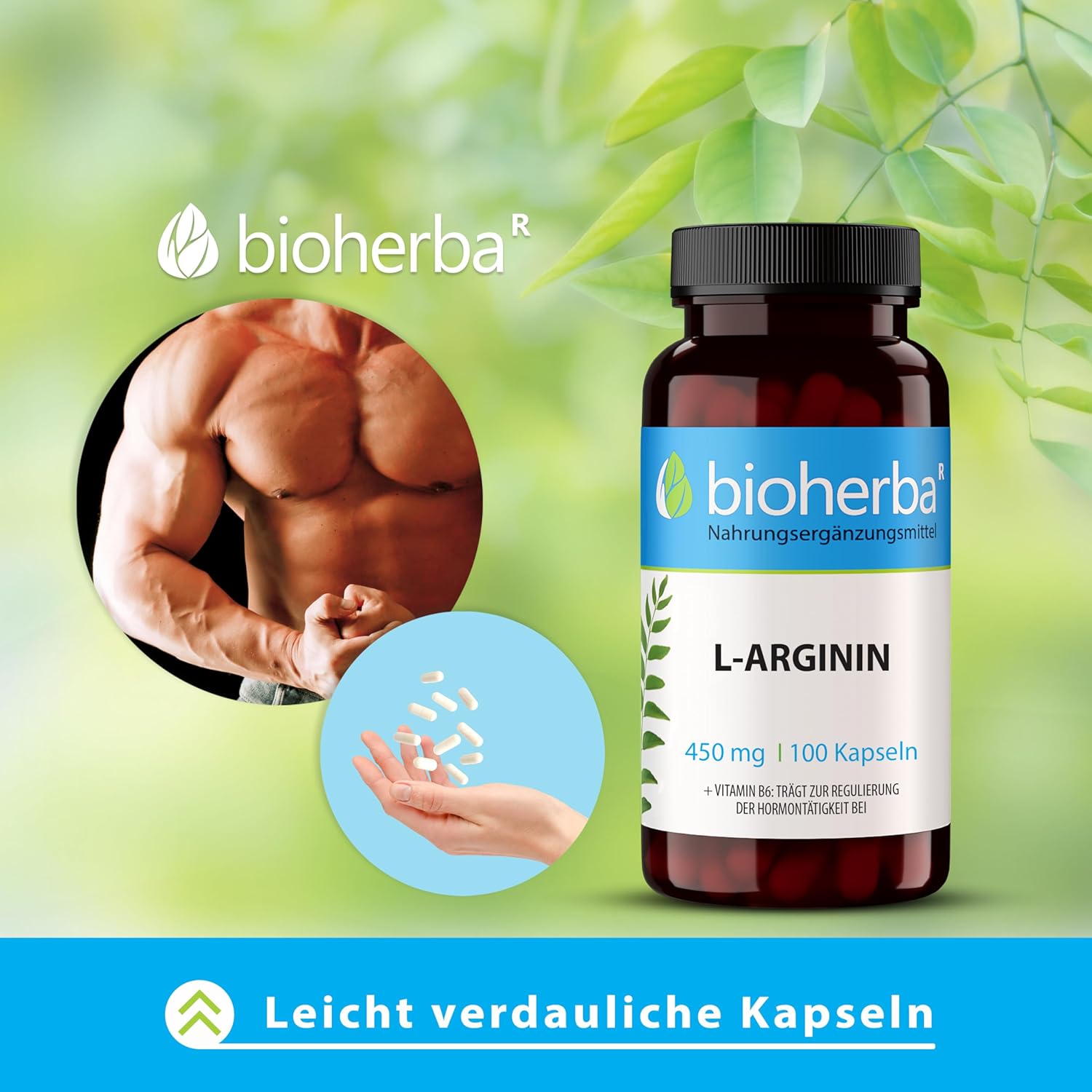 Potenzmittel & Standfestigkeit – L-Arginine Capsules - Pack of 300 High Dose with 450 mg Plus Vitamin B6 by BIOHERBA PZN 18215244 – Bild 6