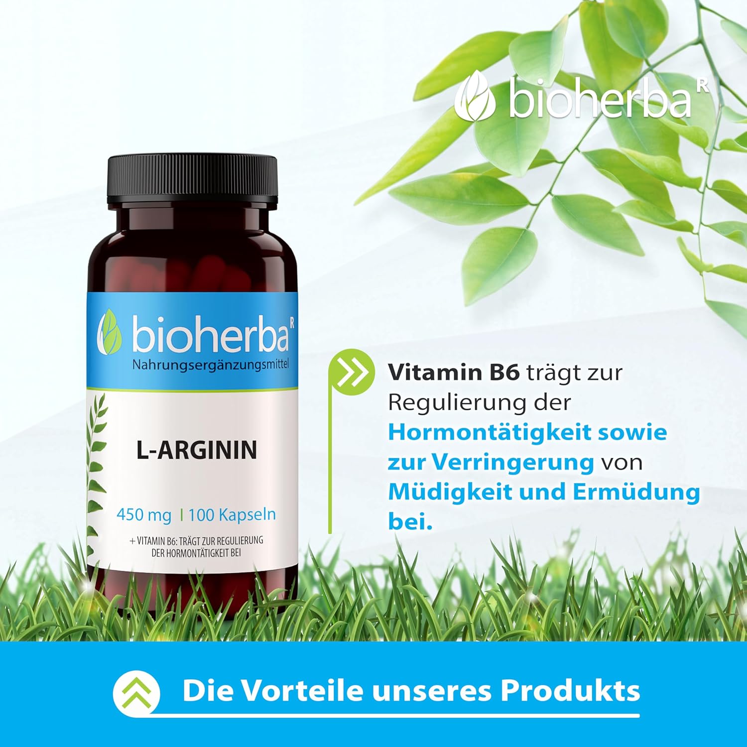 Potenzmittel & Standfestigkeit – L-Arginine Capsules - Pack of 300 High Dose with 450 mg Plus Vitamin B6 by BIOHERBA PZN 18215244 – Bild 2